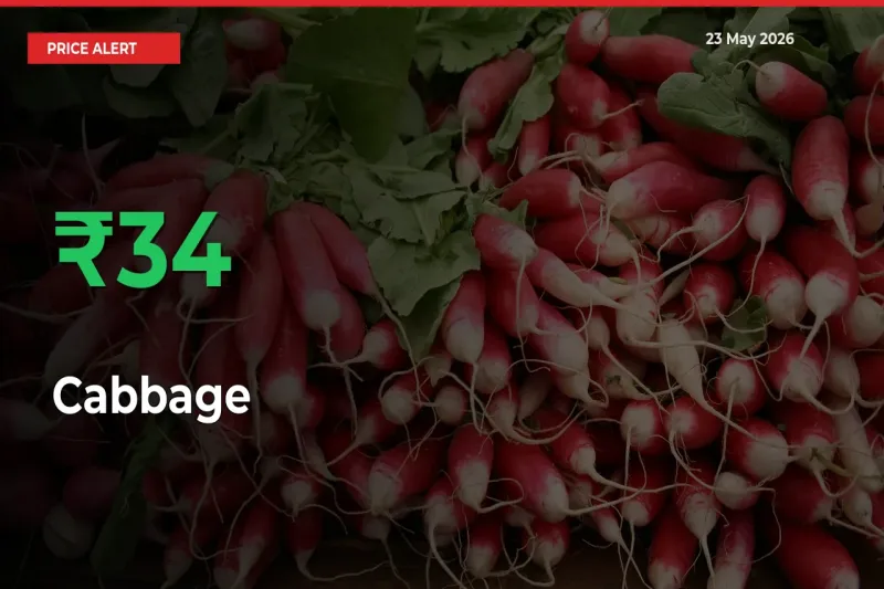 This Mandi Records 34% Jump in Cabbage Prices