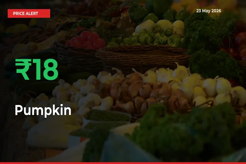18.21% Spike in Pumpkin Prices – Mandi Sees Sudden Rally