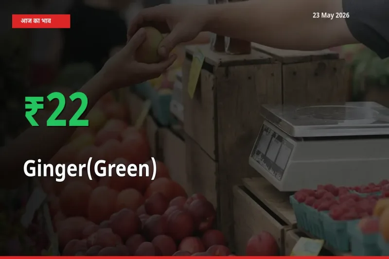 आज का मंडी भाव: अदरक (हरा) के दाम मंडी में 22.15% ऊपर