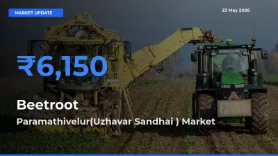 Paramathivelur(Uzhavar Sandhai ) Emerges as Top Mandi for Beetroot Prices Today