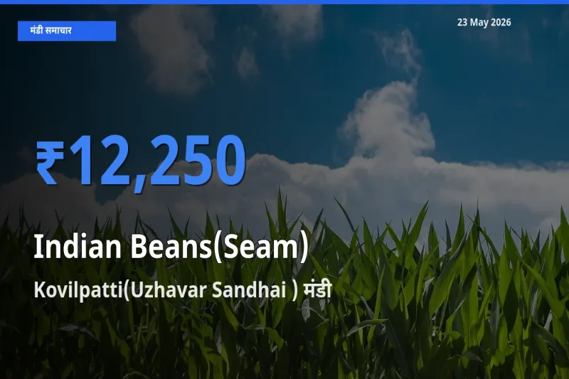 बाज़ार संकेत: Kovilpatti(Uzhavar Sandhai ) बना सेम (देशी) के लिए आज की टॉप मंडी