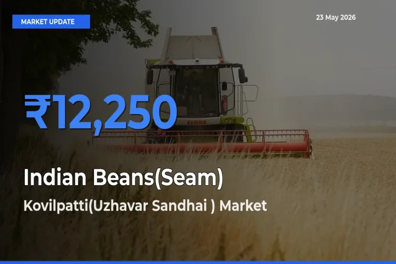 Top Performer! Kovilpatti(Uzhavar Sandhai ) Offers Best Indian Beans(Seam) Price Today