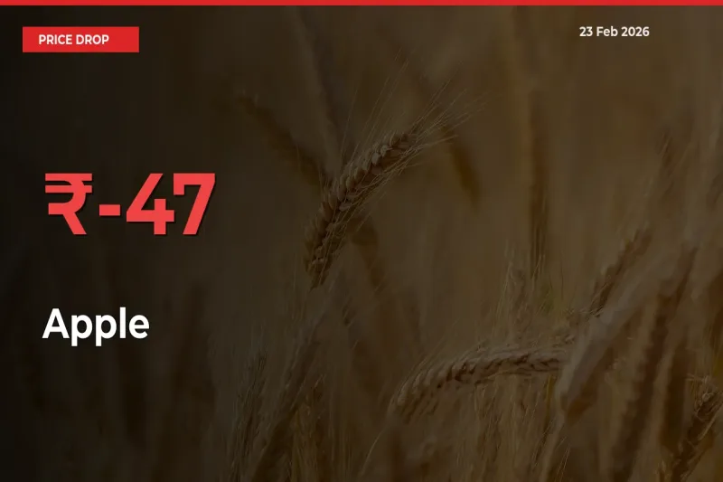 This Mandi Records 47.36% Fall in Apple Prices