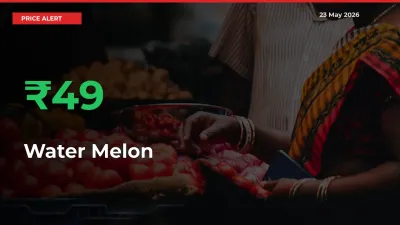 Farmers Cheer as Water Melon Prices Surge 48.98% in Local Mandis