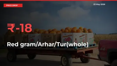 Red gram/Arhar/Tur(whole) Mandi Rate Today: Prices Fall 18.23% at Market