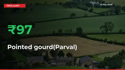 Farmers Cheer as Pointed gourd(Parval) Prices Surge 96.62% in Local Mandis