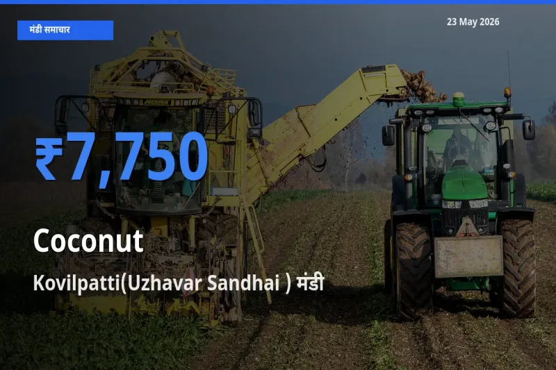 Kovilpatti(Uzhavar Sandhai ) मंडी में आज नारियल के सबसे ऊँचे दाम दर्ज