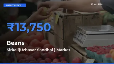 Market Watch: Sirkali(Uzhavar Sandhai ) Becomes Top Mandi for Beans