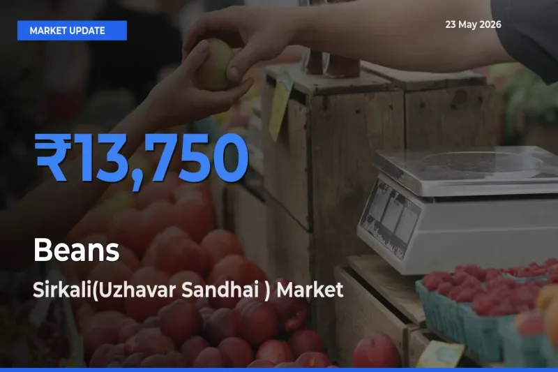 Market Watch: Sirkali(Uzhavar Sandhai ) Becomes Top Mandi for Beans