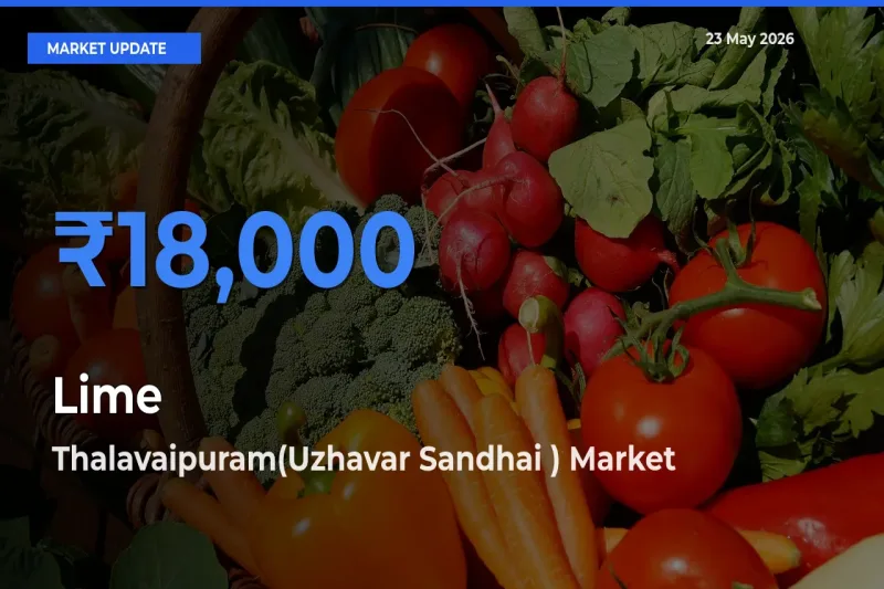 Thalavaipuram(Uzhavar Sandhai ) Records Highest ₹18,000 Rate for Lime