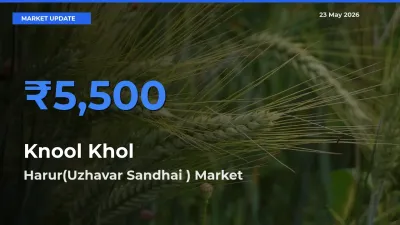 Harur(Uzhavar Sandhai ) Leads as Top Mandi for Knool Khol Prices