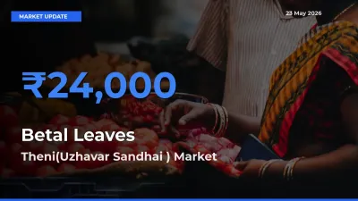 Theni(Uzhavar Sandhai ) Offers ₹24,000 – Highest Betal Leaves Rate Today