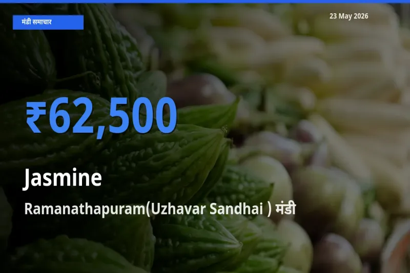 Ramanathapuram(Uzhavar Sandhai ) मंडी में आज चमेली के सबसे ऊँचे दाम दर्ज
