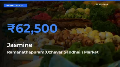 Ramanathapuram(Uzhavar Sandhai ) Offers ₹62,500 – Highest Jasmine Rate Today