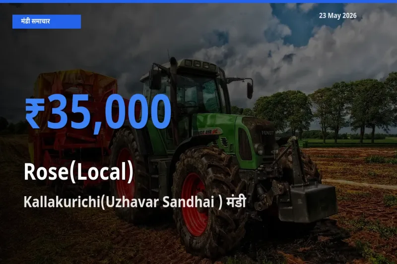 आज गुलाब(स्थानीय) के सबसे ज़्यादा दाम Kallakurichi(Uzhavar Sandhai ) मंडी में दर्ज