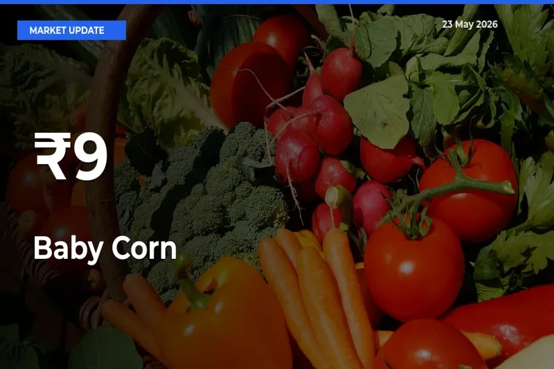 Baby Corn Rates Show Broad Movement Across 9+ Mandis