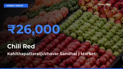Kahithapattarai(Uzhavar Sandhai ) Offers ₹26,000 – Highest Chili Red Rate Today