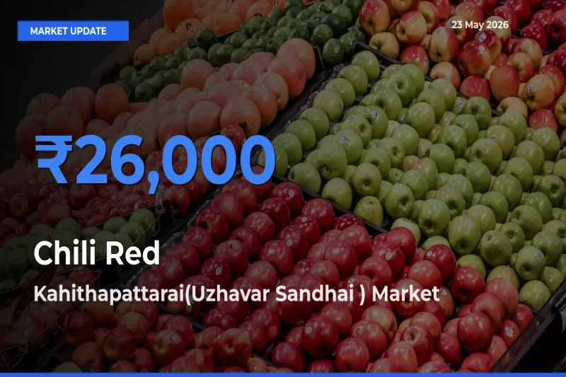 Kahithapattarai(Uzhavar Sandhai ) Offers ₹26,000 – Highest Chili Red Rate Today