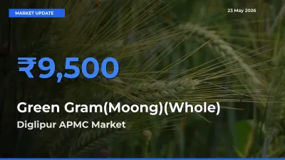 Top Performer! Diglipur APMC Offers Best Green Gram(Moong)(Whole) Price Today
