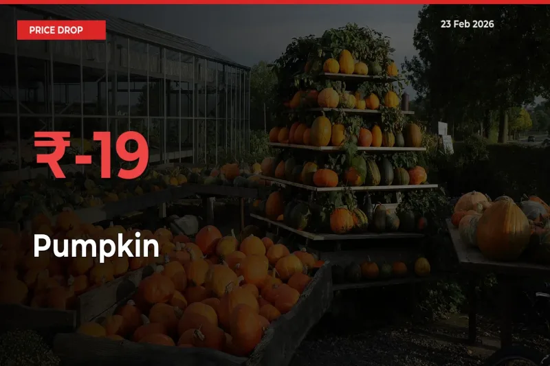 18.58% Drop in Pumpkin Prices – Mandi Sees Sudden Fall