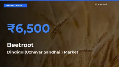 Dindigul(Uzhavar Sandhai ) Tops Beetroot Mandi Rates Today