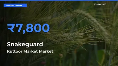 Kuttoor Market Tops Snakeguard Rates – May 23 Market Update