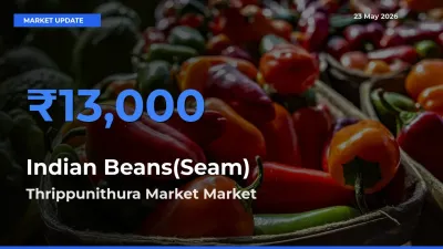 Thrippunithura Market Tops Indian Beans(Seam) Mandi Rates Today