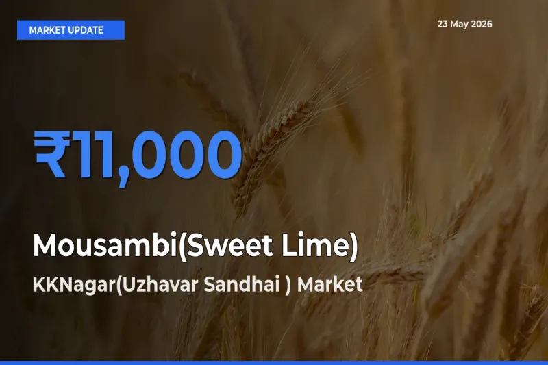 Market Watch: KKNagar(Uzhavar Sandhai ) Becomes Top Mandi for Mousambi(Sweet Lime)