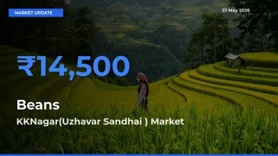 KKNagar(Uzhavar Sandhai ) Leads as Top Mandi for Beans Prices
