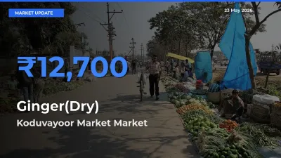 Ginger(Dry) Mandi Rate Today: Koduvayoor Market Tops the List