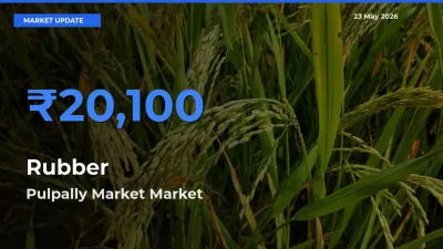Farmers Prefer Pulpally Market as Rubber Hits Highest Rate