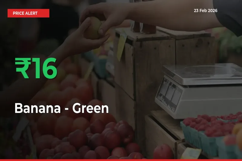 Big Rally! Banana - Green Climbs 15.55% in 24 Hours at Top Mandis