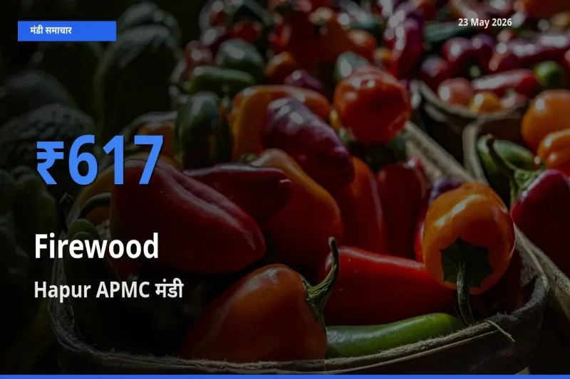 किसानों की पसंद बना Hapur APMC, जलावन लकड़ी के सबसे अच्छे दाम