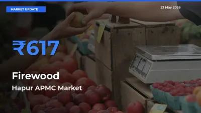 Hapur APMC Tops Firewood Rates – May 23 Market Update