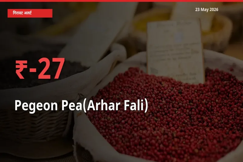 अरहर फली 26.81% गिरा, मंडी
