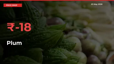 Sharp Fall! Plum Prices Plunge 18.47% in a Day at Key Mandis