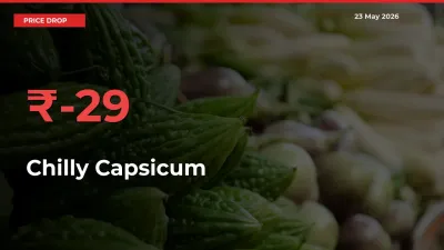 Chilly Capsicum Mandi Rate Today: Prices Fall 28.89% at Market