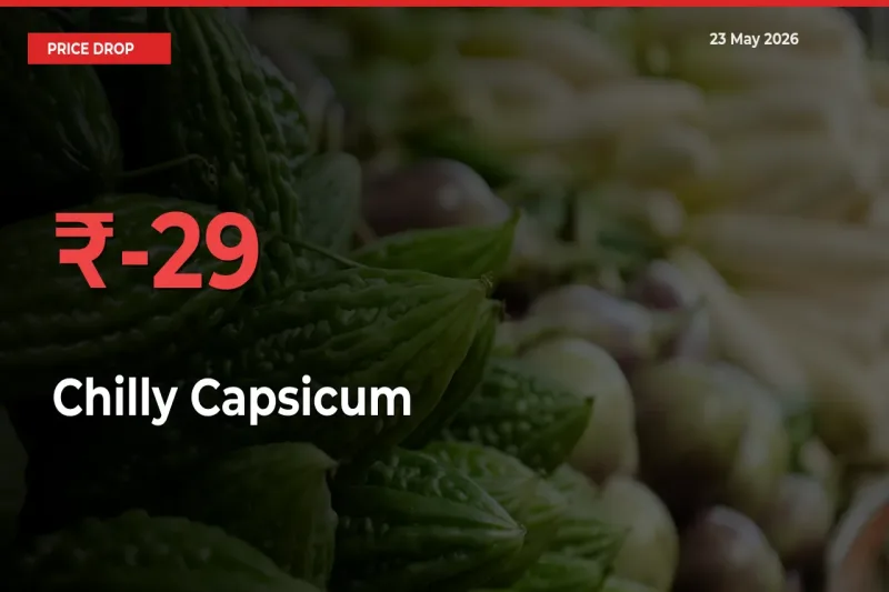 Chilly Capsicum Mandi Rate Today: Prices Fall 28.89% at Market