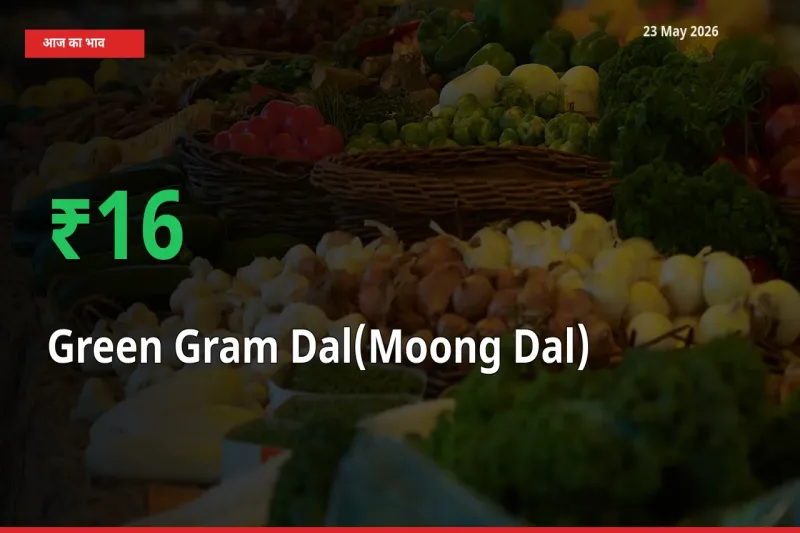 तेज़ तेजी! मंडी में मूंग दाल के दाम 16.39% चढ़े