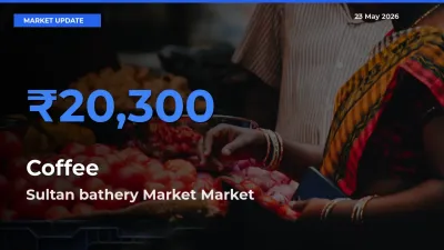 Sultan bathery Market Records Highest ₹20,300 Rate for Coffee