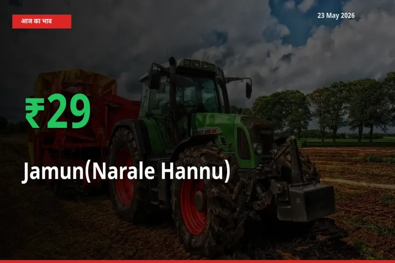 आज का मंडी भाव: जामुन (नाराले हन्नू) के दाम मंडी में 28.57% ऊपर
