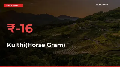 Kulthi(Horse Gram) Mandi Rate Today: Prices Fall 16.12% at Market