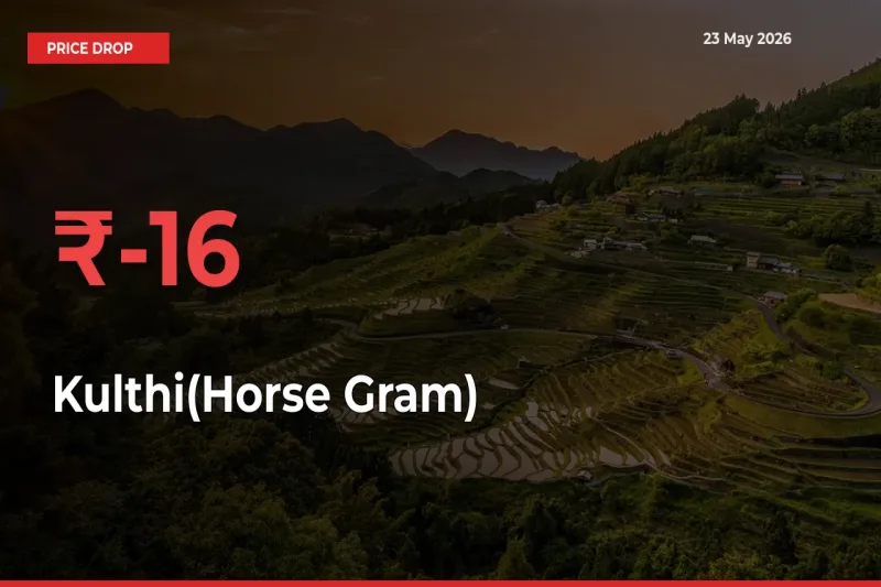 Kulthi(Horse Gram) Mandi Rate Today: Prices Fall 16.12% at Market