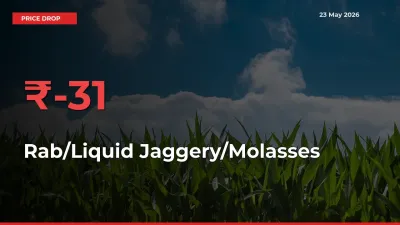 Sudden Shock! Rab/Liquid Jaggery/Molasses Drops 31.2% in 24 Hours at Top Mandis