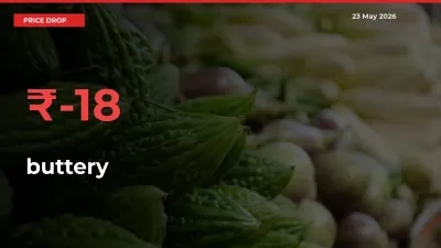 buttery Prices Drop 17.94% in 24 Hours at Major Mandis
