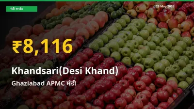 देसी खांड के भावों में जबरदस्त उछाल, Ghaziabad APMC में नया उच्च स्तर