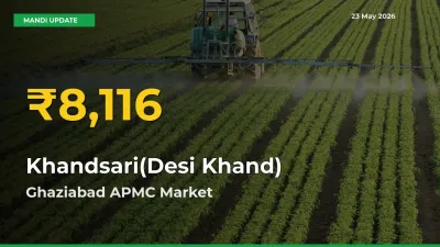 Khandsari(Desi Khand) Hits Fresh High in Ghaziabad APMC Today