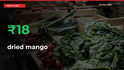 Big Rally! dried mango Climbs 17.56% in 24 Hours at Top Mandis