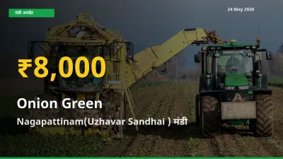प्याज हरा के दामों ने बनाया नया रिकॉर्ड, Nagapattinam(Uzhavar Sandhai ) में तेज़ी