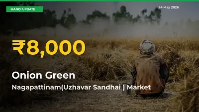 Farmers Benefit as Onion Green Rate Touches New High in Nagapattinam(Uzhavar Sandhai )